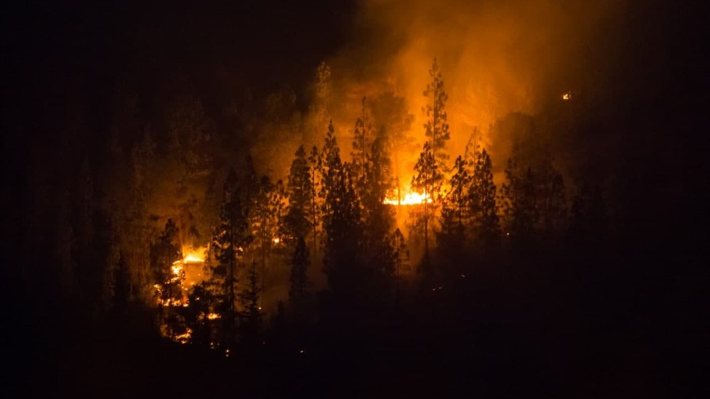 Wildfire rages in Jerusalem area woods on Monday evening (Photo: Alex Kolomoisky) שריפה בהרי ירושלים