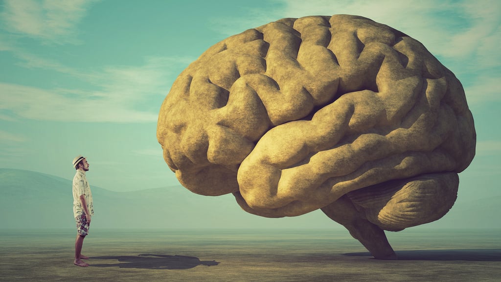 Illustration of a man standing in front of a human brain (Photo: Shutterstock) מוח