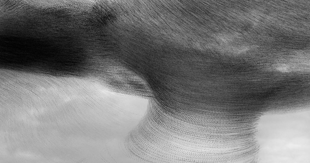 FUNNEL (Kathryn Cooper, United Kingdom. ) FUNNEL