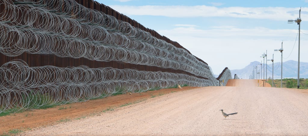 BLOCKED (Alejandro Prieto, Mexico) BLOCKED