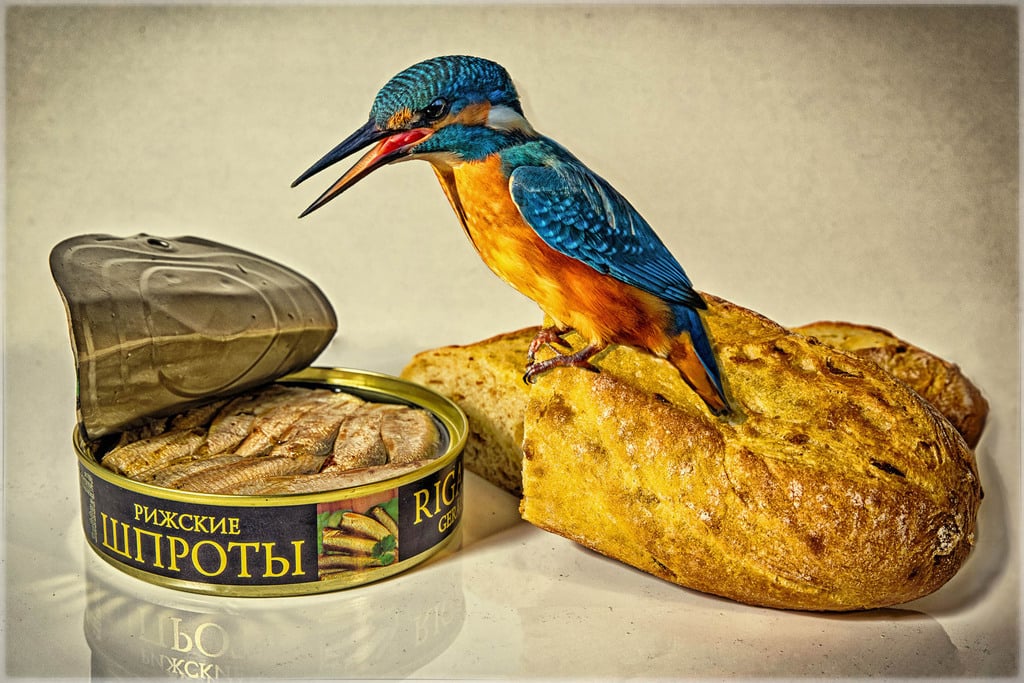 SPRATS AND BREAD (Ruediger Schulz, Germany) SPRATS AND BREAD