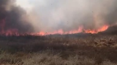 מספר שריפות באזור עוטף עזה כתוצאה מבלוני תבערה