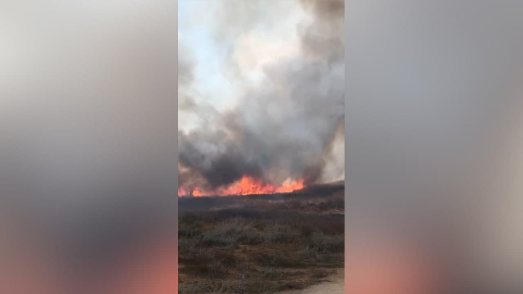 מספר שריפות באזור עוטף עזה כתוצאה מבלוני תבערה