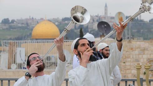 Extremist Jewish group prepares for a new Jewish Holy Temple - Vimarsana News