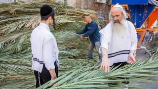 שוק ארבעת המינים במאה שערים