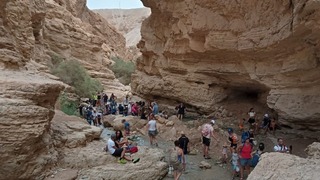 עין בוקק מדבר יהודה