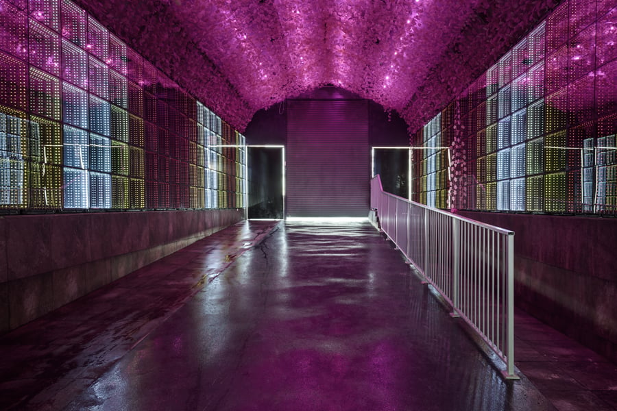 תקרה פרחונית ומראות בכניסה לפארק (צילום: עודד סמדר) מג'יק קאס