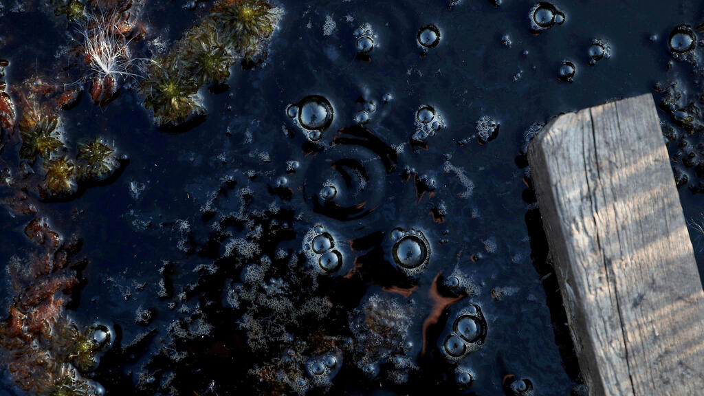  Methane bubbles are seen in an area of marshland at a research post at Stordalen Mire near Abisko, Sweden