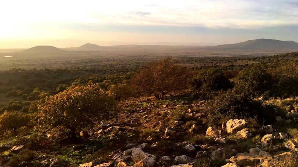 The Bashanit Ridge in the Golan Heights (Photo: Naama Mansfeld, Nature and Parks Authority) שמורת רכס בשנית