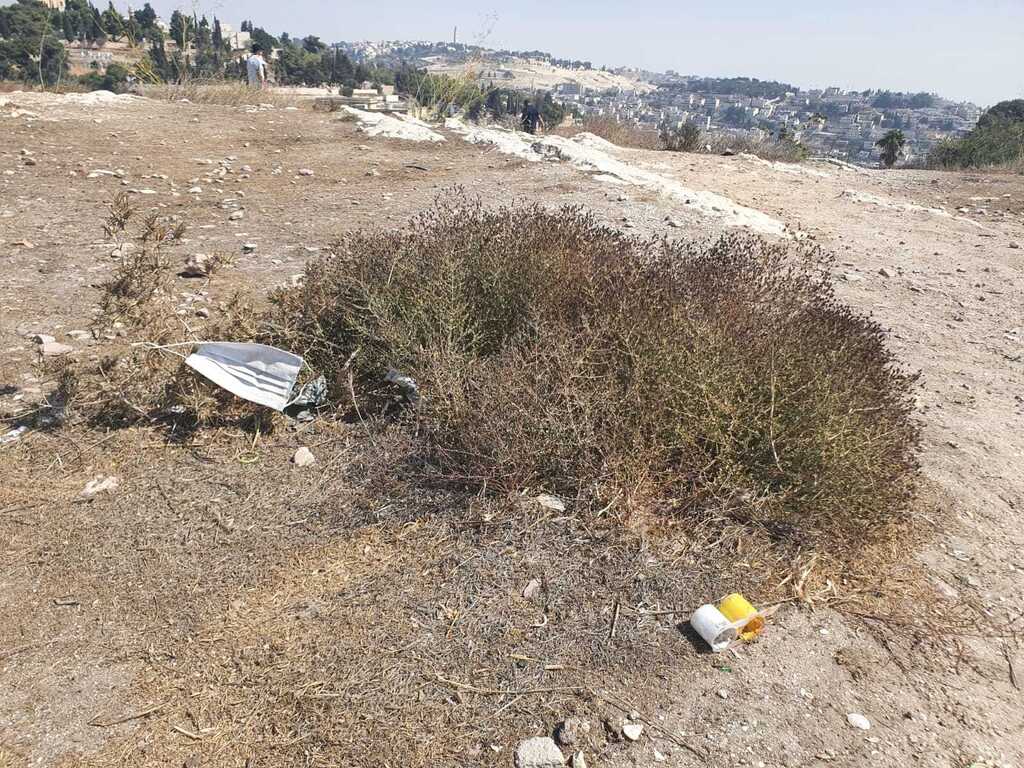פסולת בגבעת התנ"ך (צילום: נעה פישר) גבעת התנ"ך