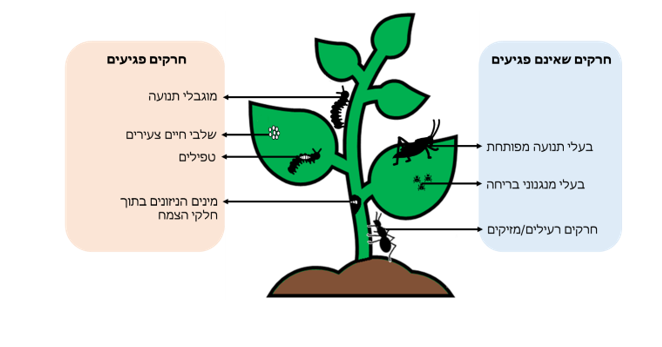 איור: אוניברסיטת חיפה
