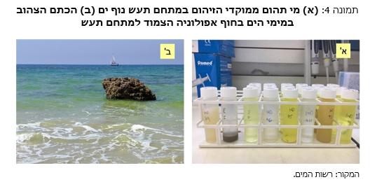 צילום: מתוך דו"ח מבקר המדינה