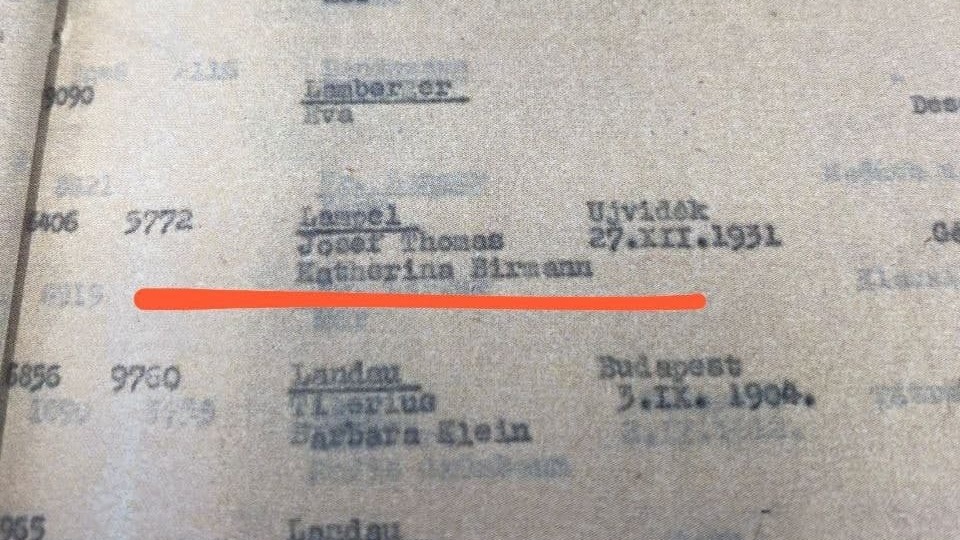 תעודת החסינות של טומי לפיד