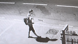 הנער הרוצח