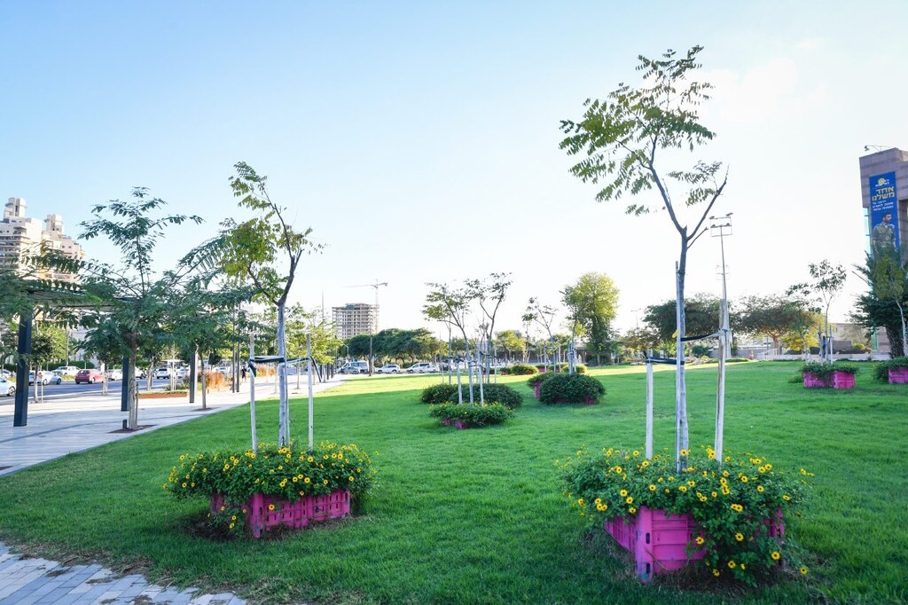 New trees at the city of Be'er Sheva (Photo: Haim Horenstein) ירוק בבירת הנגב