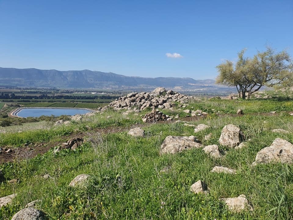אבנים גדולות בשטח (צילום: אסף קמר) אבנים גדולות בשטח