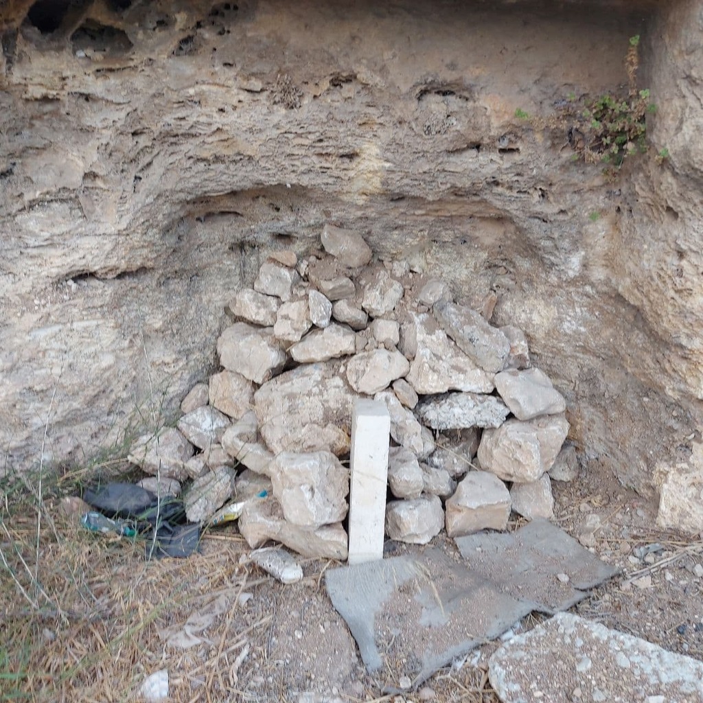 צילום: יואב זיתון בית הקברות שהתגלה