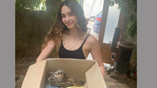 נעה כוכבא עם הינשוף