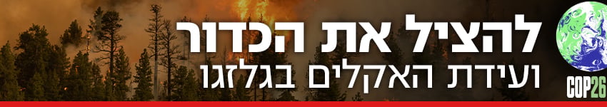 צילום: shutterstock