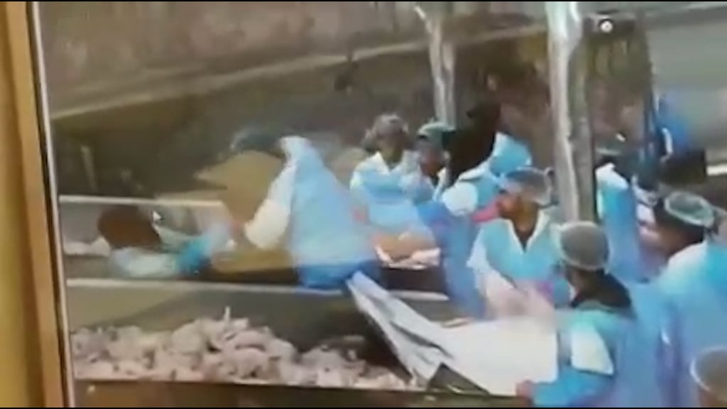 תיעוד מרגעי התקיפה תיעוד מרגעי התקיפה