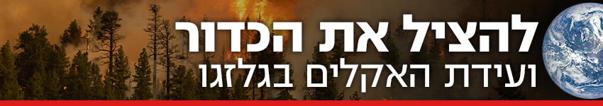 צילום: shutterstock