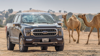 פורד F150