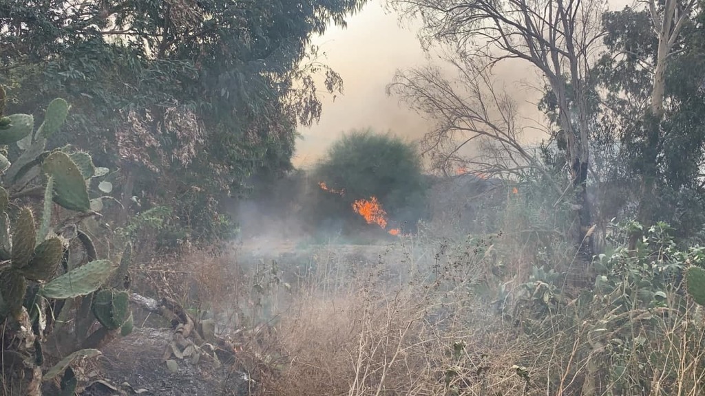 שריפת קוצים במושב זיתן (צילום: מאיר תורג'מן) שריפת קוצים במושב זיתן