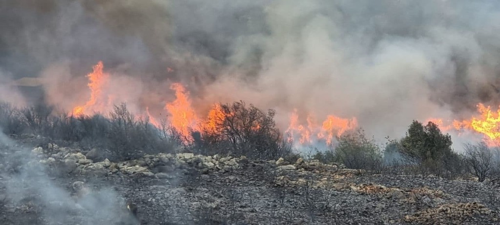 איזור השריפה בואדי מאג'נונה (צילום: דוברות כבאות והצלה מחוז חוף) איזור השריפה בואדי מאג'נונה