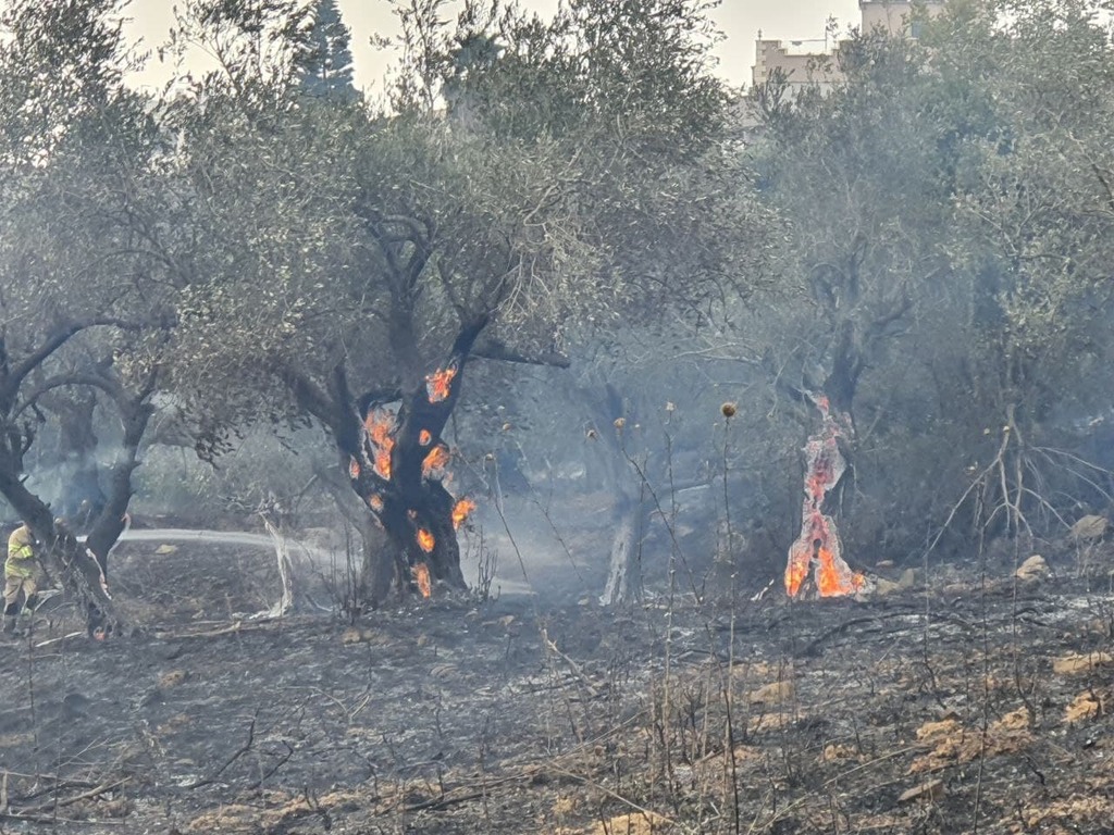 צילום: דניאל סלאמה שריפה באזור מעלות: תושבים פונו, בתים ניזוקו, הוזעקו כוחות מכל המחוז