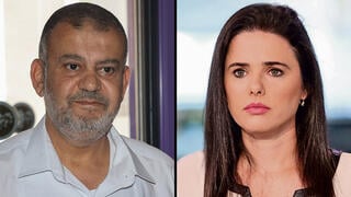 וואליד טאהא וליד טאהא איילת שקד