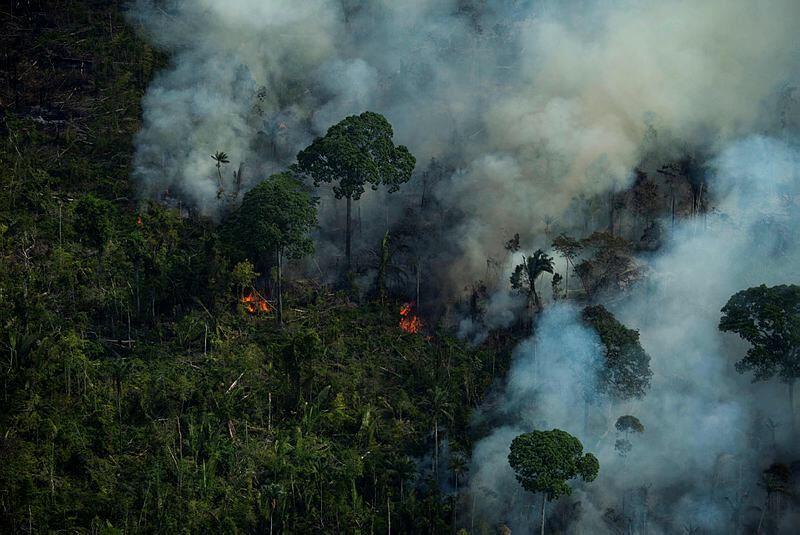 שטח עצום נשרף השנה באמזונס