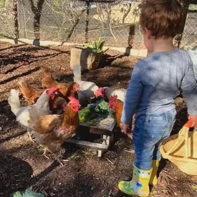 לפחות לא בשחור לבן. ארצ'י לפחות לא בשחור לבן. ארצ'י
