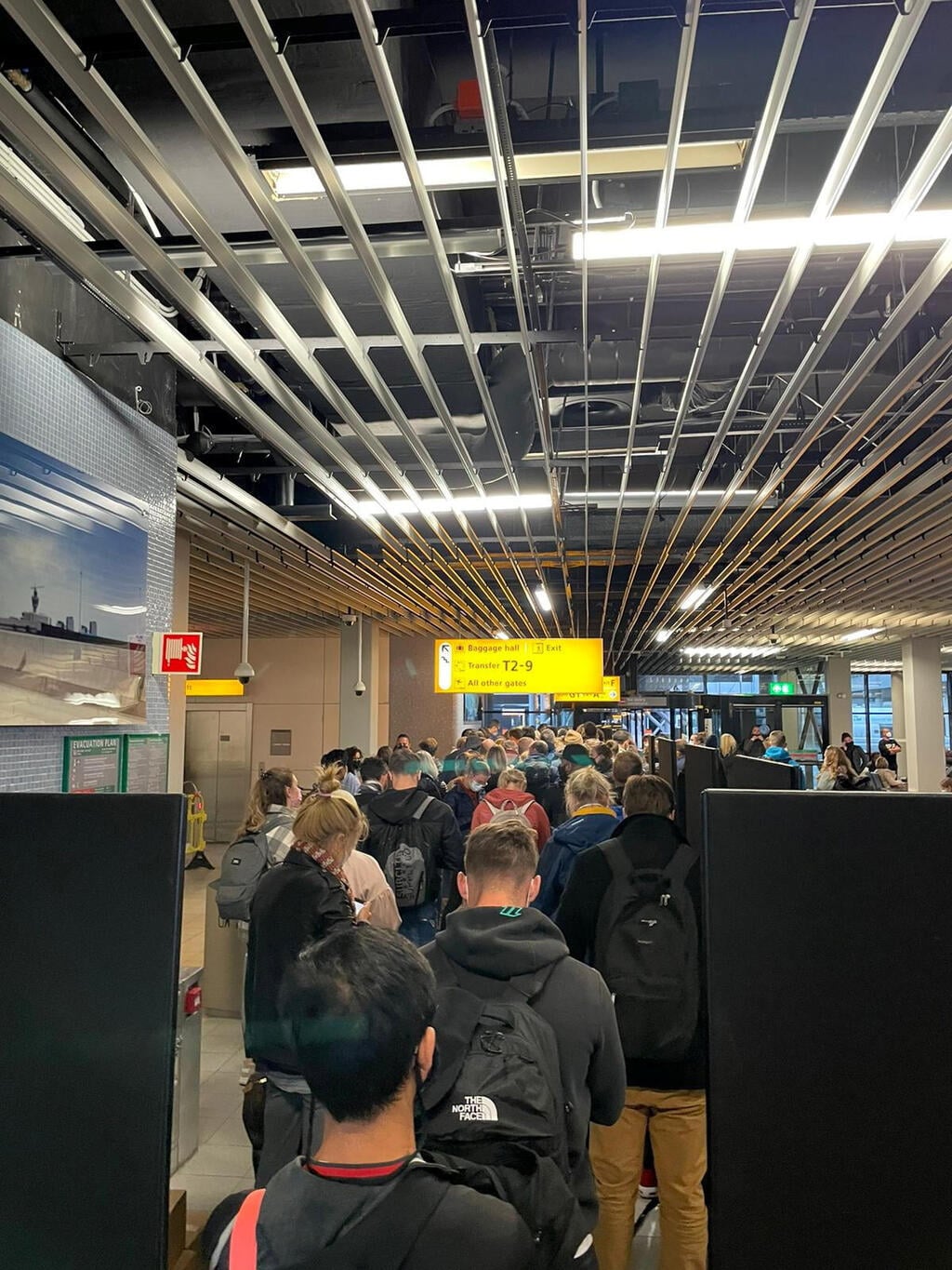 תור הענק בנמל התעופה באמסטרדם. "בטוח נידבק כאן" (צילום: רויטרס) נוסעים שנחתו באמסטרדם בתור לבדיקת קורונה
