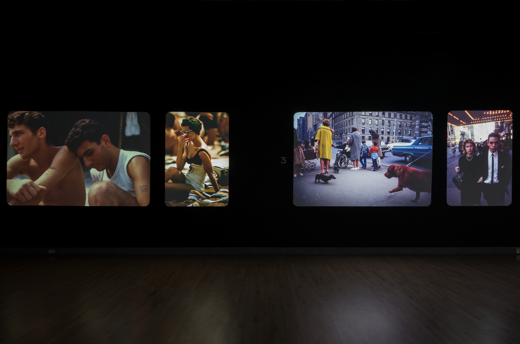 Installation view, Garry Winogrand: Color, Brooklyn Museum.