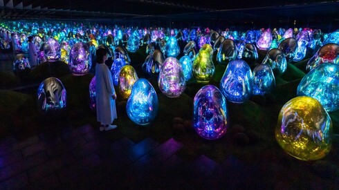 Resonating Microcosms of Life – Solidified Light Color, teamLab