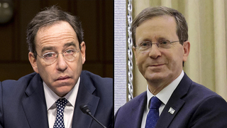 יצחק הרצוג, טום ניידס