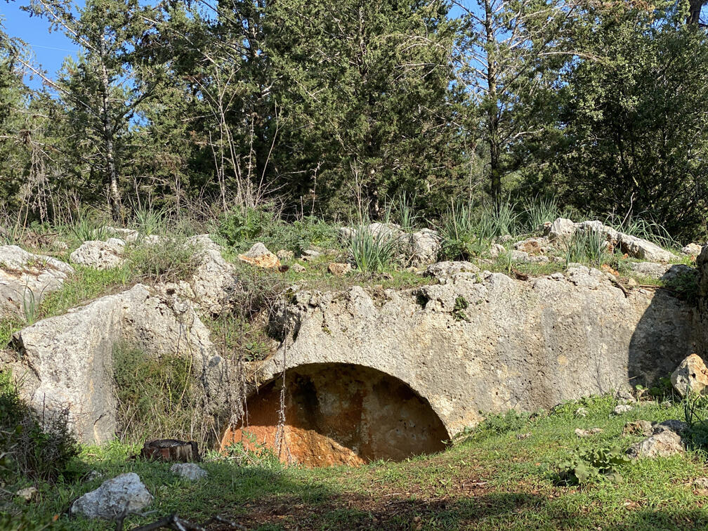 מערה שטרם נחפרה (צילום: גלעד כרמלי) מערה שטרם נחפרה