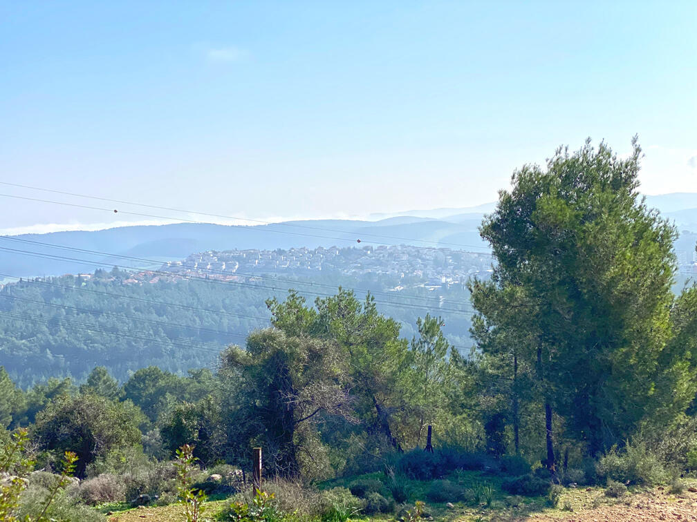 הנוף ממצפור קרן הכרמל (צילום: גלעד כרמלי) הנוף ממצפור קרן הכרמל