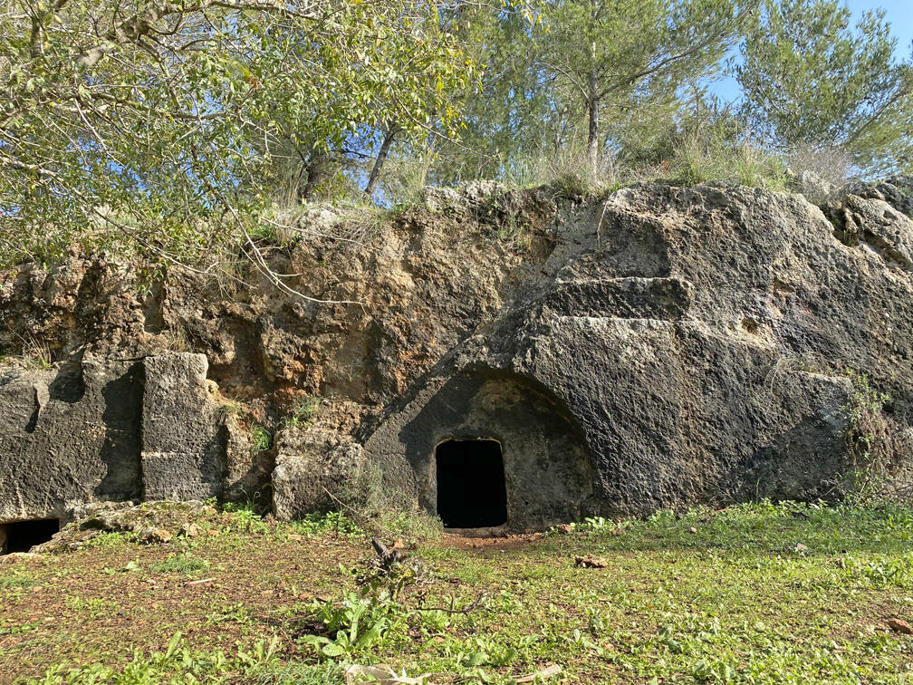 מערת קבורה ביער קרן הכרמל (צילום: גלעד כרמלי) מערת קבורה ביער קרן הכרמל