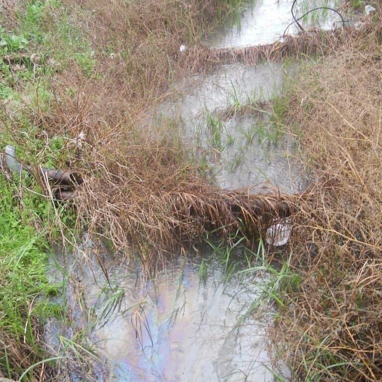 חיל האוויר לא הציג תוכנית שיקום. דליפת דלק ברמת דוד (צילום: רעות גזלמן, המשרד להגנת הסביבה) אירוע דליפה ברמת דוד