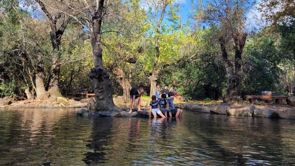 מטיילים בשבת בשמורת טבע תל דן (צילום: שרית פאלאצי רשות הטבע והגנים) שמות טבע תל דן