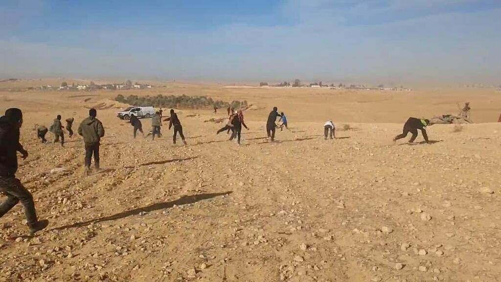 צילום: רועי עידן, אילנה קוריאל הפרות סדר עם חידוש הנטיעות סמוך למולדה