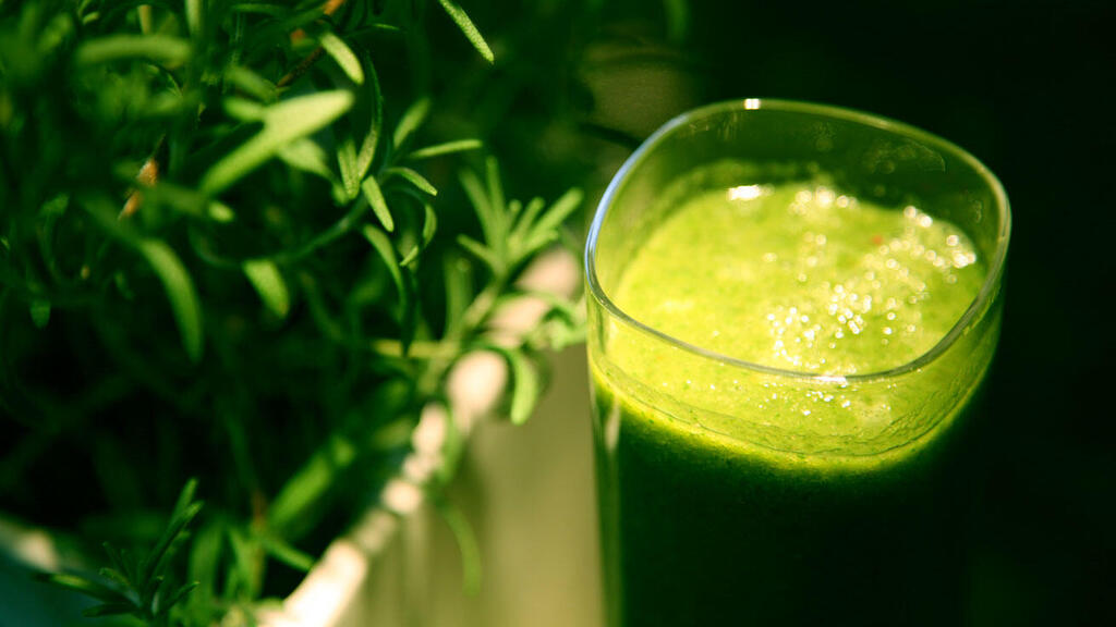 A green smoothie, similar to shake that participants in the study drank (Photo: Joanna Slodownik, Wikimedia Commons) green smoothie, similar to shake that participants in the study drank