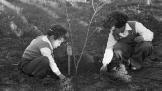 ט"ו בשבט 1955 בקיבוץ גת