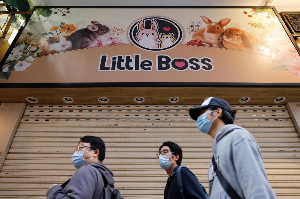 חנות חיות בהונג קונג (צילום: רויטרס) חנות חיות בהונג קונג