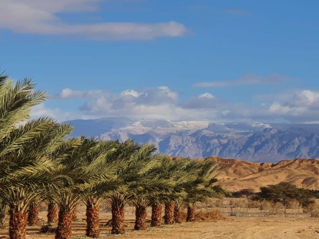 חורף קריר בלי גשם בערבה התיכונה