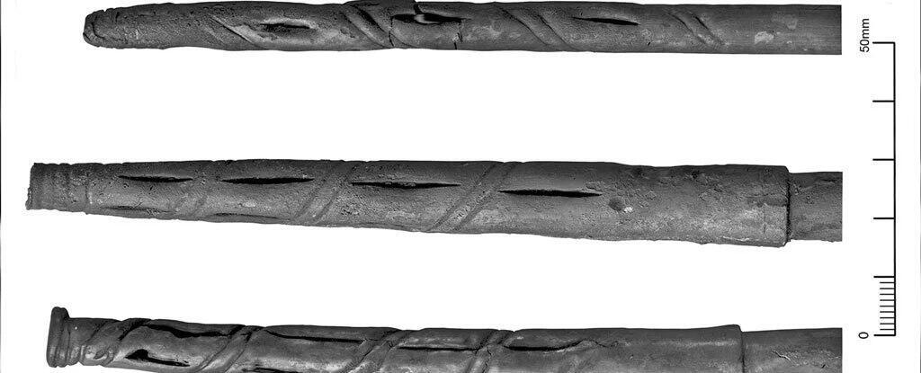 הקשיות העתיקות (צילום: מתוך המחקר) הקשיות העתיקות