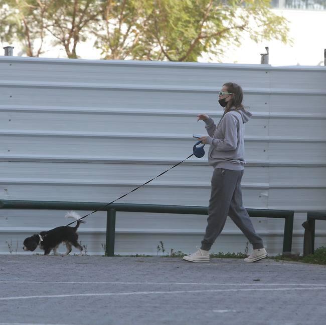 טוב לא נציק יותר. ביי (צילום: מוטי לבטון) טוב לא נציק יותר. ביי