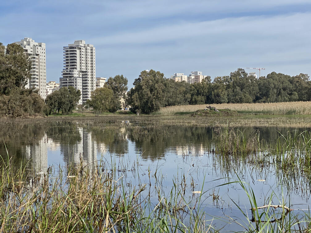 בריכת דורה בנתניה
