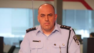 אלי לוי